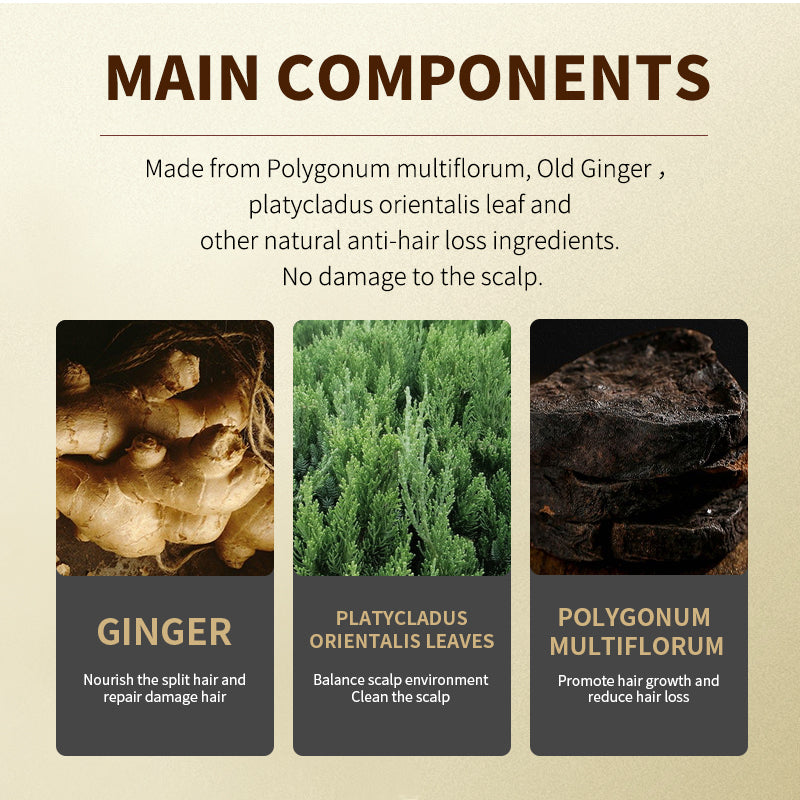 Arturo Zudaifu 500ML Professional Ginger Hair Shampoo Anti Hair Loss Nourish Hair Fast Regrowth Oil Control Care